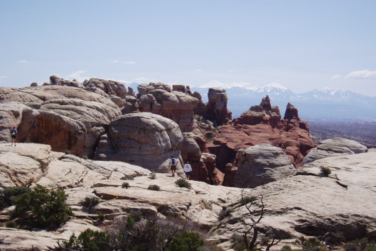 Copy of P4110008.jpg